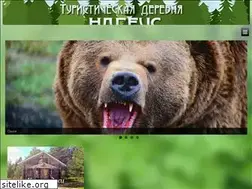 Sites similar to karelia-travel.ru