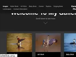 Sites similar to karenelizabeth.com