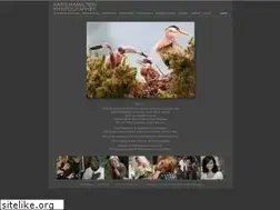Sites similar to kariehamilton.com