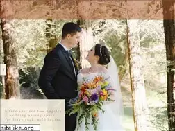 Sites similar to karinapiresphotography.com