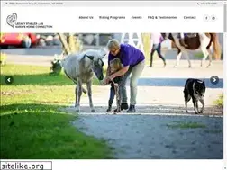 Sites similar to karinshorses.com