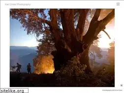 Sites similar to kariphotos.com