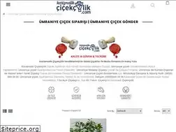Sites similar to karizmatikcicekcilik.com