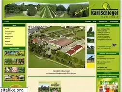 Sites similar to karl-schlegel.com