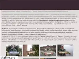Sites similar to karmax2.pl