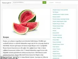 Sites similar to karpuz.gen.tr