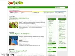 Sites similar to karpuzsuyu.com