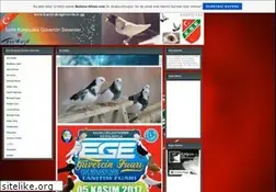 Sites similar to karsiyakaguvercin.tr.gg