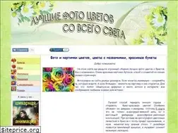 Sites similar to kartinki-cvetov.ru
