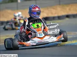 Sites similar to kartpedia.com