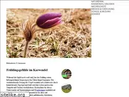 Sites similar to karwendel.org