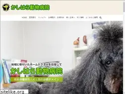 Sites similar to kashihara-animal.com