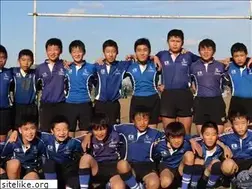 Sites similar to kashiwa-rs.jp