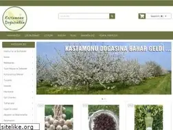Sites similar to kastamonudogasindan.com