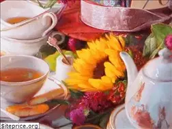 Sites similar to kathleenfritz.com