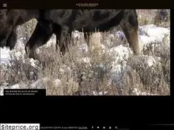 Sites similar to kathleenreeder.com