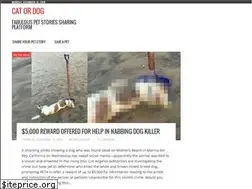 Sites similar to katordog.com