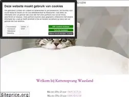 Sites similar to kattenopvangwaasland.com