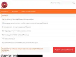 Sites similar to katushki-mishina.ru