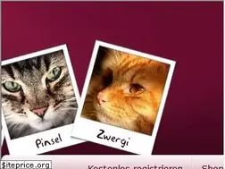 Sites similar to katzen-forum.de