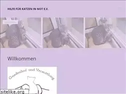 Sites similar to katzen-in-not.info