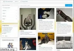 Sites similar to katzen-kleinanzeigen.net