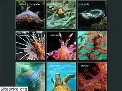 Sites similar to katzgraber.org