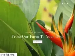 Sites similar to kauaiflowers.com