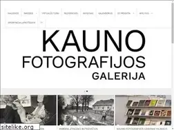 Sites similar to kaunasgallery.lt