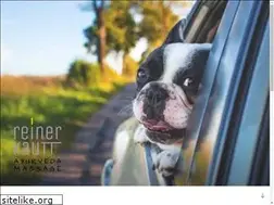 Sites similar to kautt.de