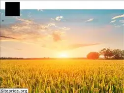Sites similar to kawaranousan.com