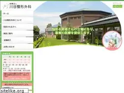 Sites similar to kawatani-seikei.jp