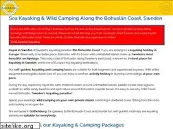 Sites similar to kayakingscandinavia.com