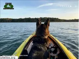 Sites similar to kayaksi.com