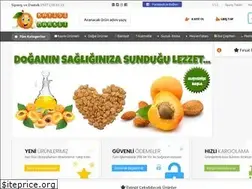 Sites similar to kayisimarket.com.tr
