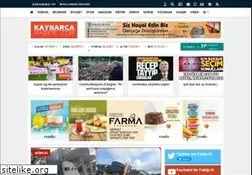 Sites similar to kaynarcahaber.com