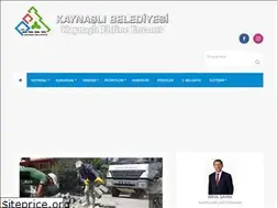 Sites similar to kaynasli.bel.tr