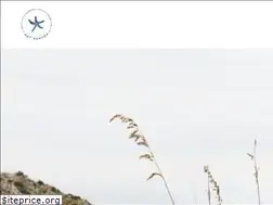 Sites similar to kaynewton.com