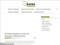 Sites similar to kayramantar.com