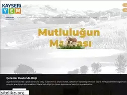 Sites similar to kayseriyem.com