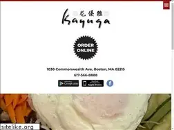 Sites similar to kayuga.com