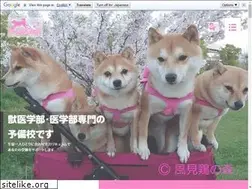 Sites similar to kazamidorinomori-mameshiba.jp
