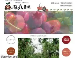 Sites similar to kazemaru-nojo.com