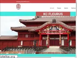 Sites similar to kcfleurus.com
