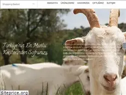 Sites similar to kecikoyu.com