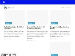 Sites similar to kedicinsleri.com