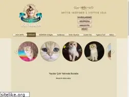 Sites similar to kediperisi.com