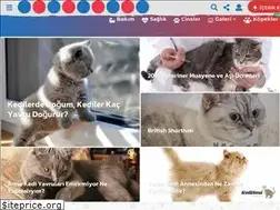 Sites similar to kedisesi.com