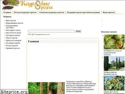 Sites similar to kedr-o.ru