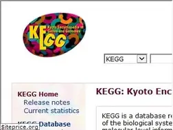 Sites similar to kegg.jp